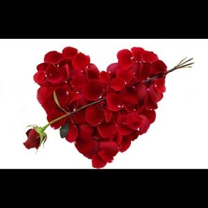 Meet your Posher, Lesley